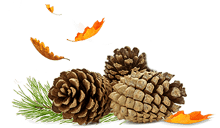 Air Wick Outdoor Fragrances